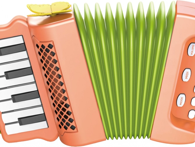 Pull-Along Accordion Toy