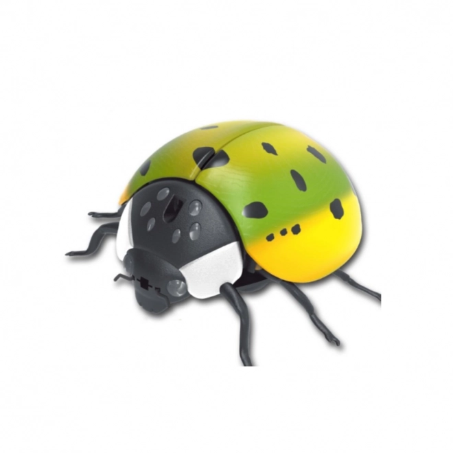 Coccinelle électronique