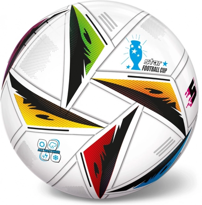Voetbal EURO 24 23 cm