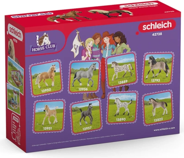 Ideal for collectors