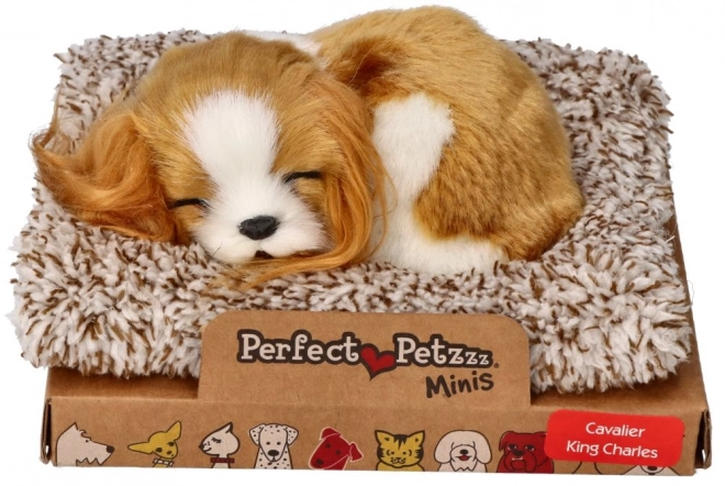 Slapende Puppy Cavalier King Charles Perfect Petzzz