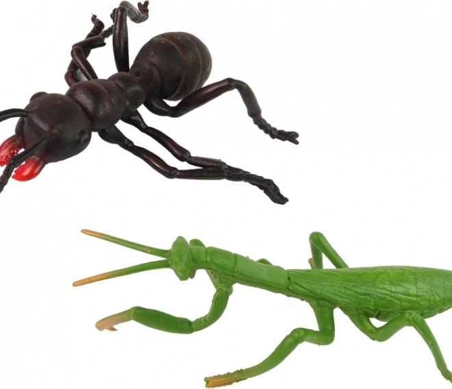 Various species for diverse play