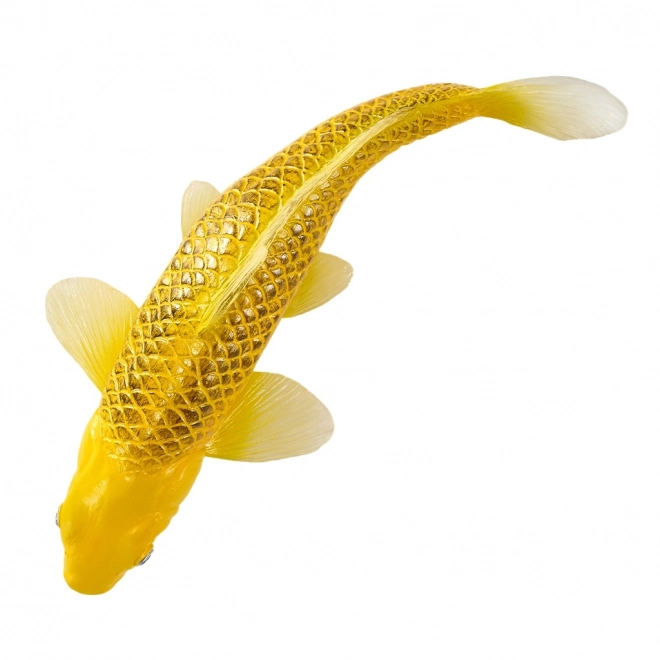 Mojo karper koi Matsuba