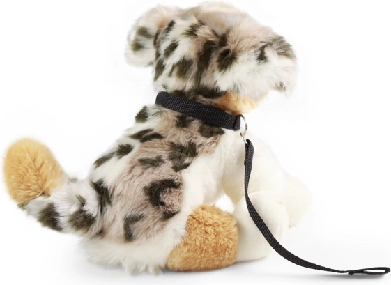 Leash and collar for even more fun