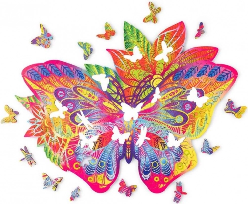 Colorful butterfly motif