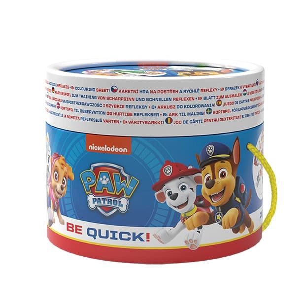 Paw Patrol Observation Game
