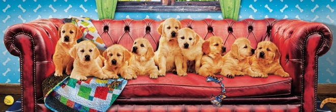 Panoramische puzzel Labradors op de hondenbank 1000 stukjes