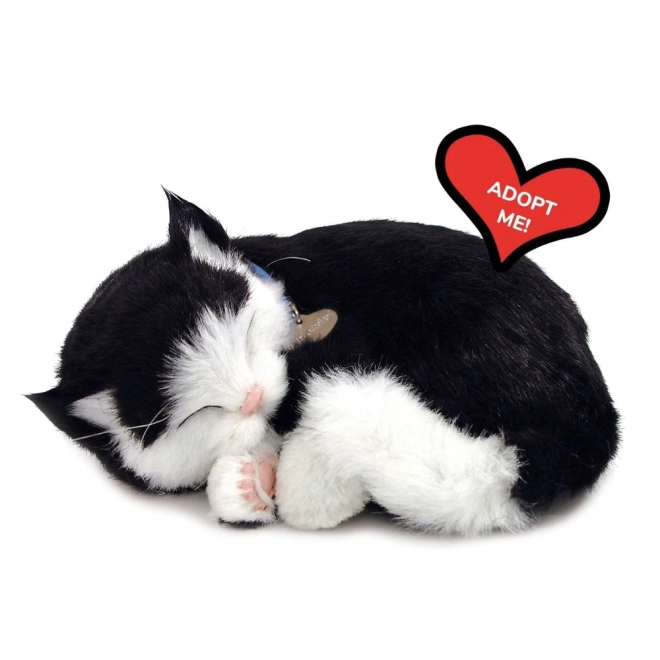 Interactief Speelgoed Perfect Petzzz Zwart-Witte Kat