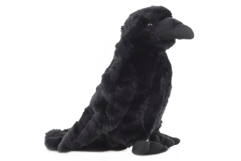 Pluchen kraai