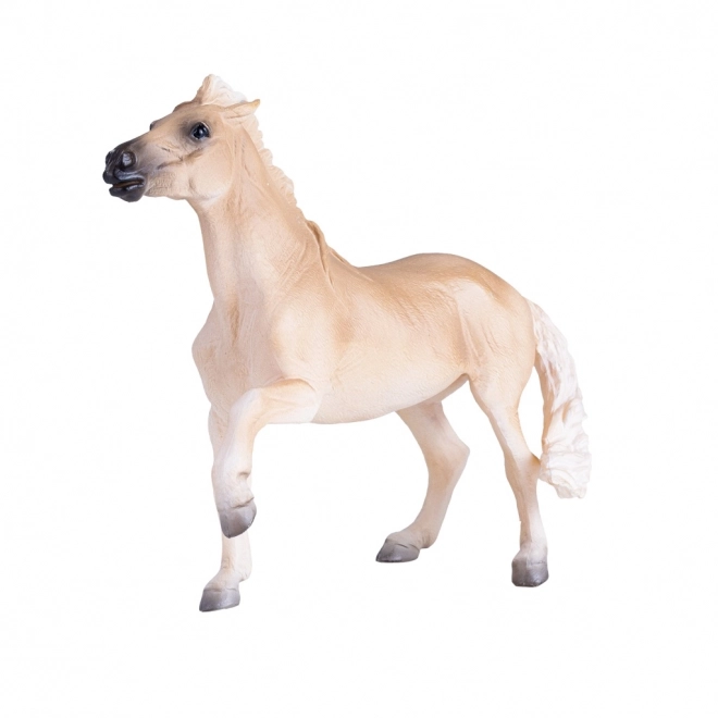 Mojo Brumby Mare