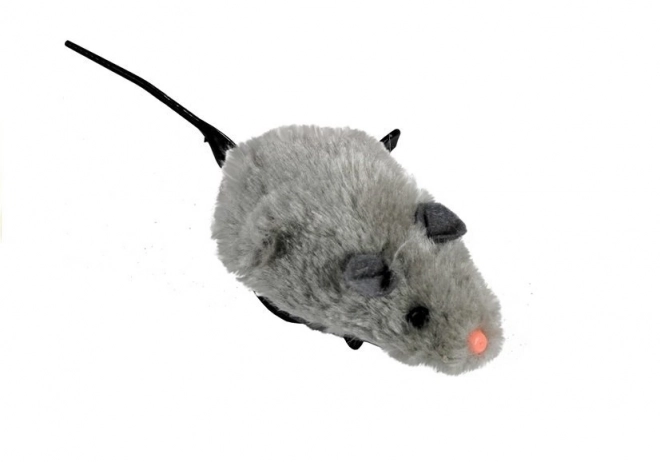 Schroefmuis beweegt met staart