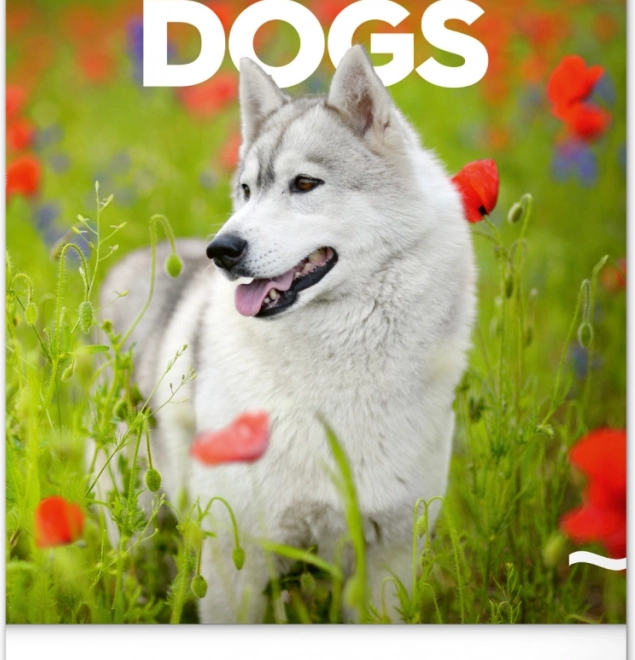Calendrier mural Chiens 2026