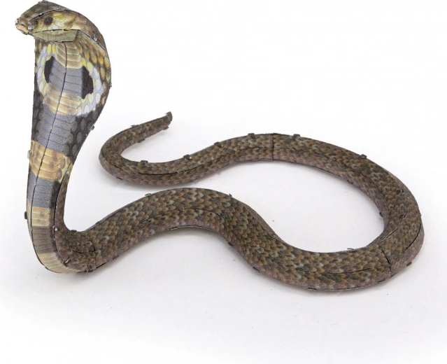 Buigzame, indrukwekkende cobra-houding