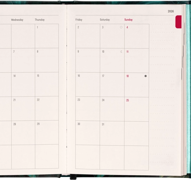 Weekly Magnetic Diary Monstera 2026, 11 x 16 cm