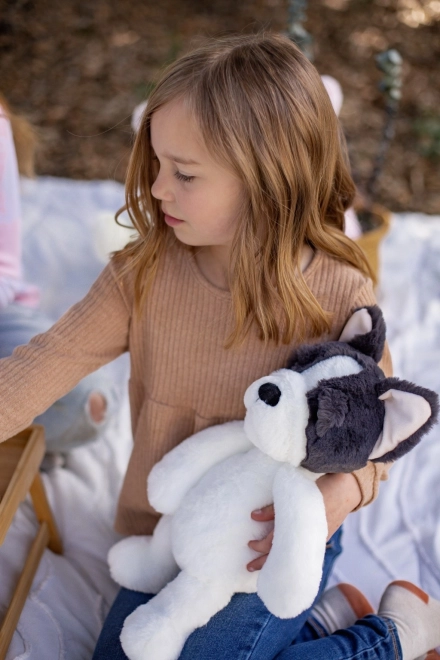 Franse bulldog knuffel