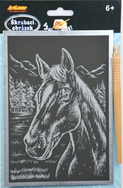 Kras- en zilveren afbeelding 14x22cm