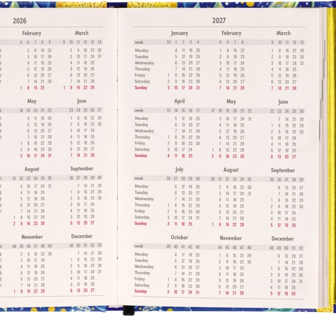 Weekly Magnetic Diary Lemons 2026