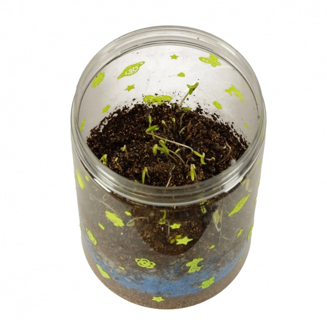 Terrarium for Growing Plants with LED Lamp and Dinosaurs