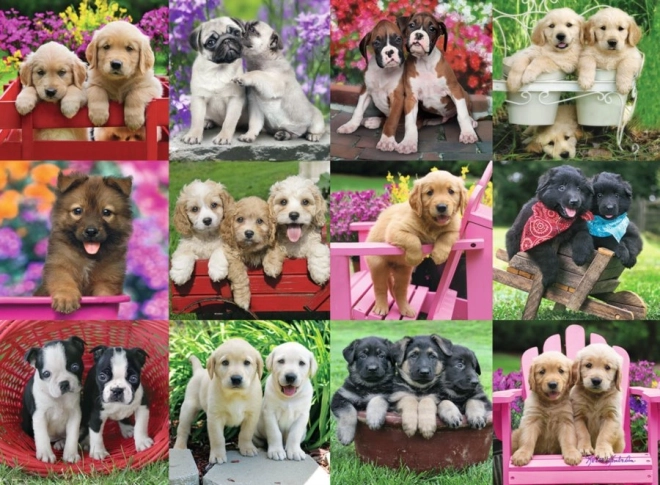 Ravensburger puzzel puppy’s 500 stukjes