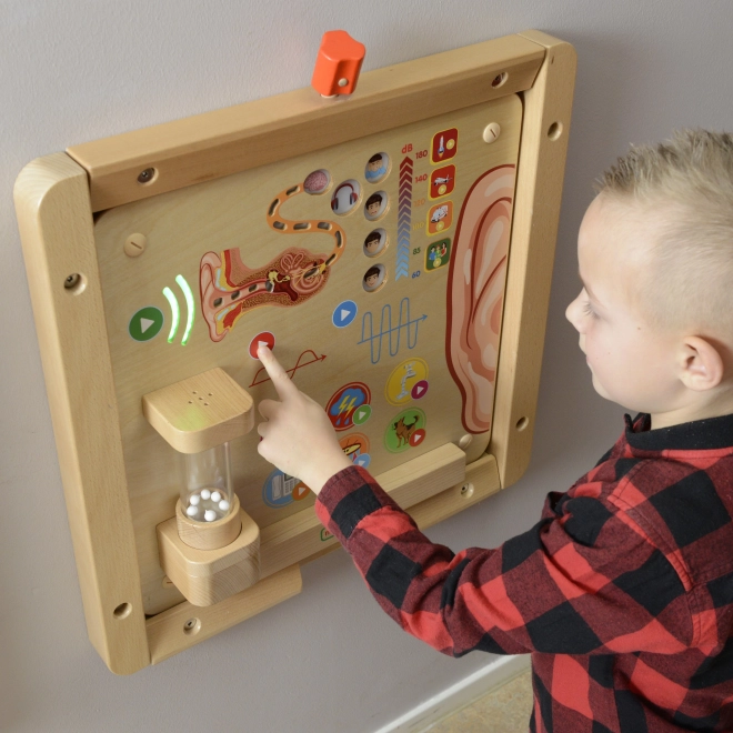 Tableau Éducatif Masterkidz Sens Visuels Montessori