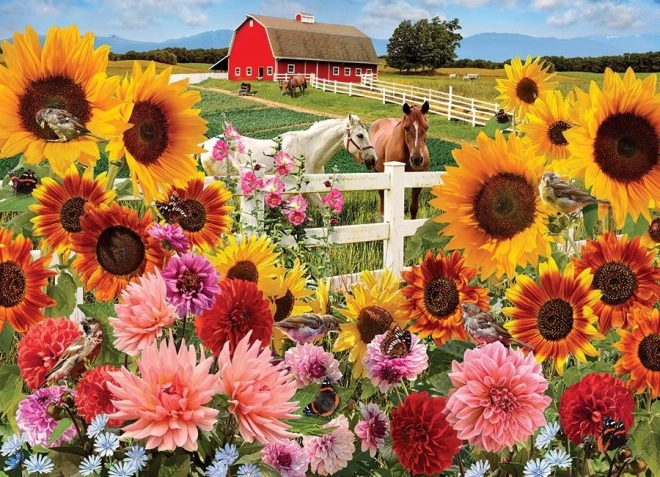 Puzzle Ferme aux tournesols de Cobble Hill - 1000 pièces