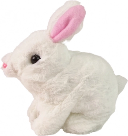 Soft and safe plush for cuddling