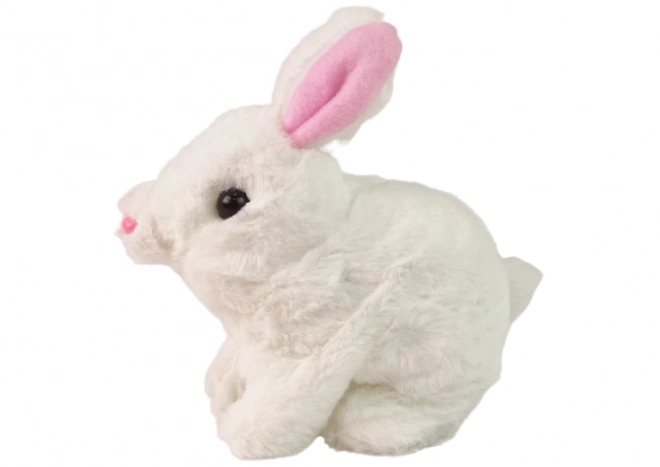 Interactief konijntje Bunny Rabbit Witte Wortel Kommascotte