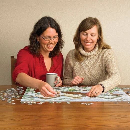 Shared fun and mental relaxation
