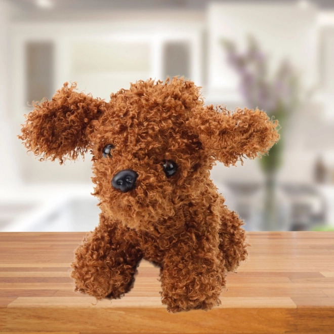 Pluchen vriend poedel 20 cm bruin