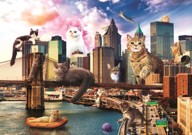 Puzzle Chats à New York 1000 pièces