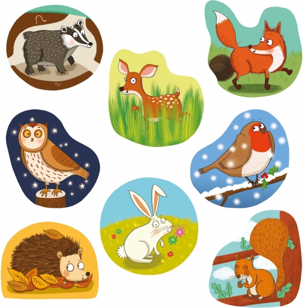 Colorful illustrations of forest animals