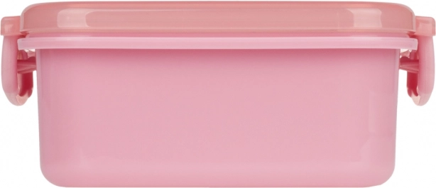Baagl snack box with compartments Panda