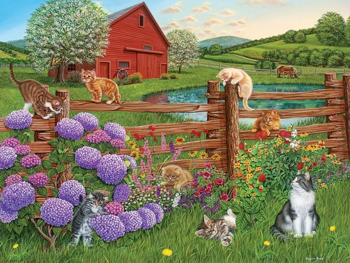 Leuk kattenmotief op de boerderij