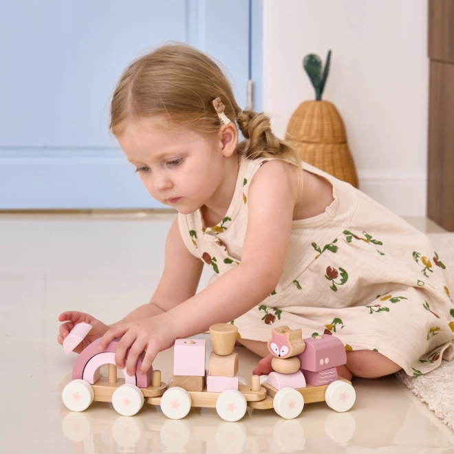 Viga Puzzle Train Set with Blocks