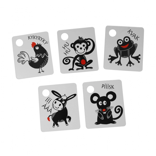 Contrastkaartjes voor kinderen met een kleurrijk element