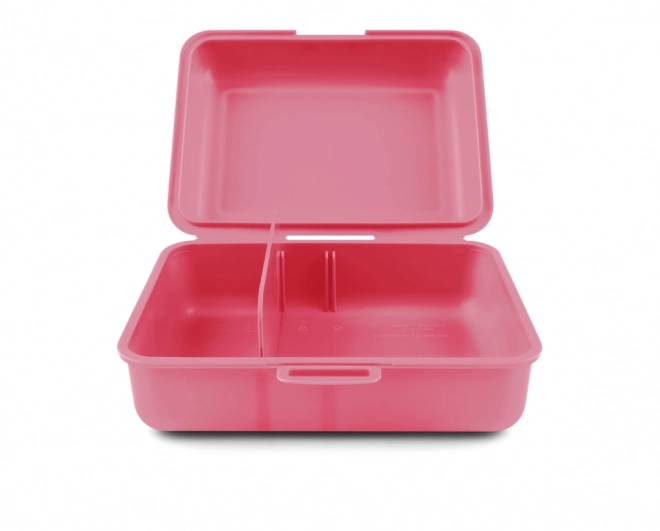 BAAGL lunchbox Uil