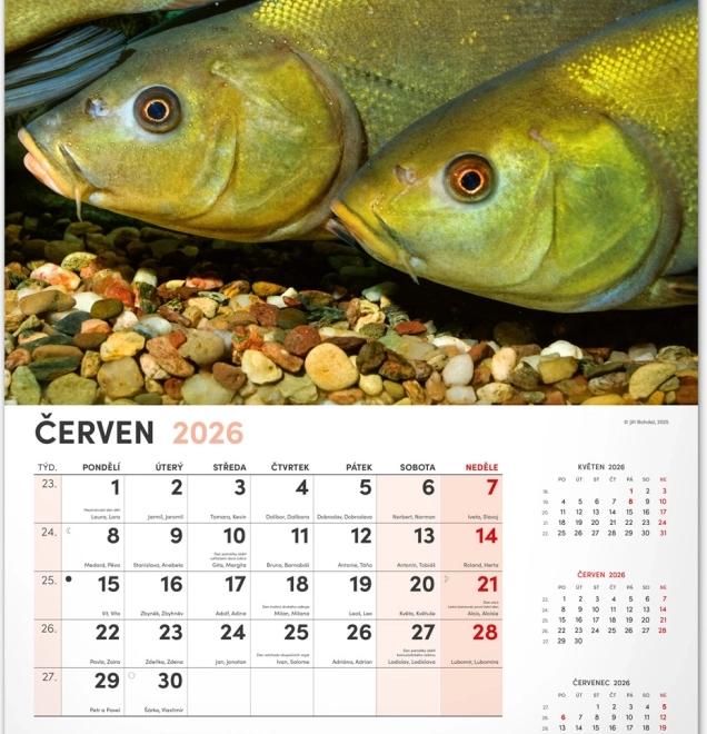 Wandkalender Visserij 2026