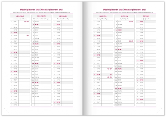 NOTIQUE Wekelijkse agenda Balacron 2025, zilverkleurig, 15 x 21 cm