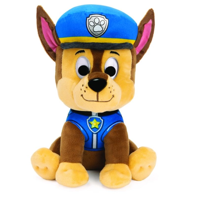 Gedetailleerd politie-uniform