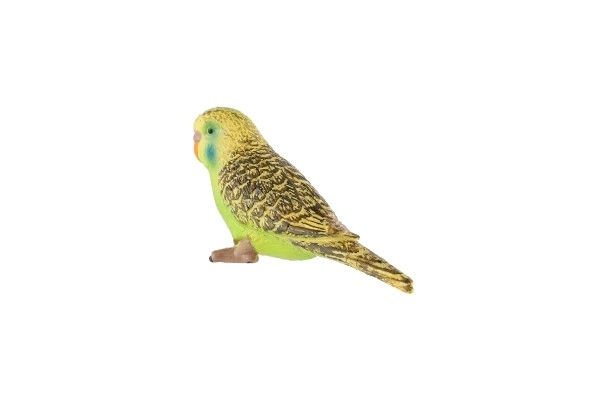 Parkiet met golvende veren zooted plastic 9cm in zakje