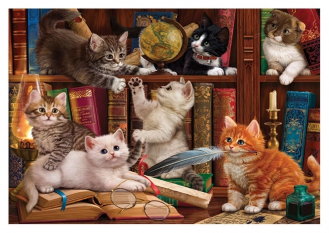 Puzzle Chats dans la bibliothèque 500 pièces