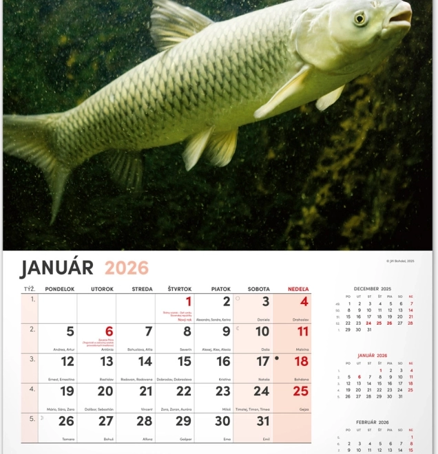 Muurkalender Vissen 2026