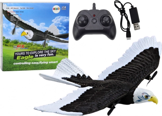 Eagle Bird RC Remote-Controlled Airplane 2.4G 41cm x 28cm x 5cm
