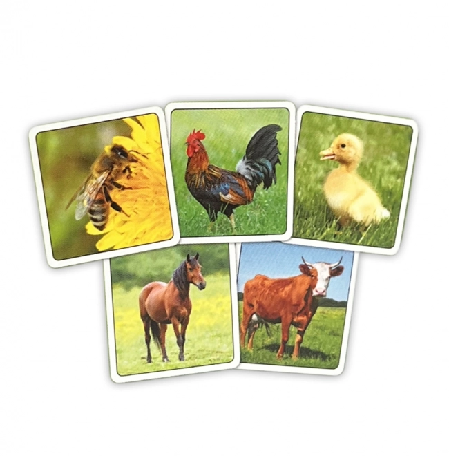 Farm Animal Memory Game for Kids