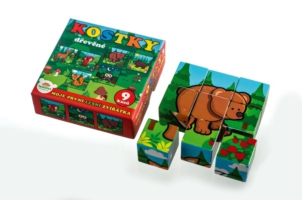 Blokken Kubus Mijn Eerste Dieren Hout