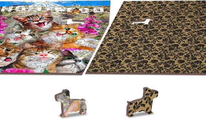 Double-sided puzzle 2-in-1