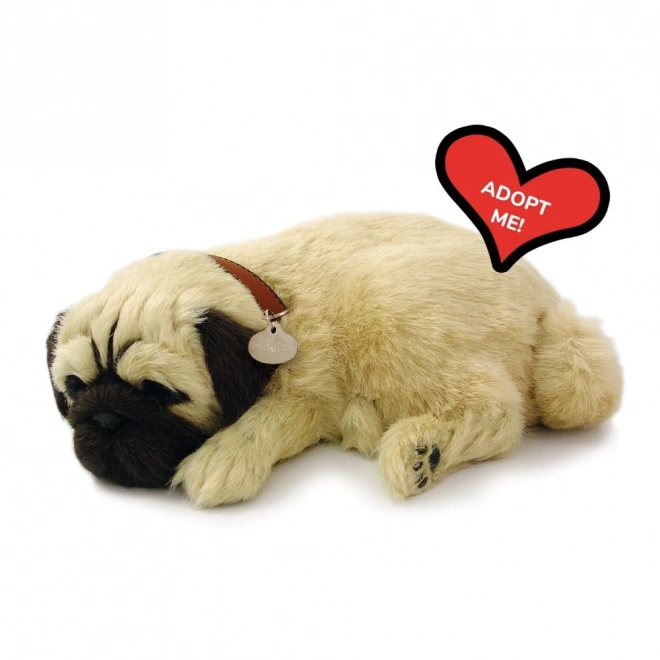 Ademend mopspuppy Perfect Petzzz