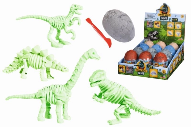 Opgravingsset met dinosaurus skelet in ei
