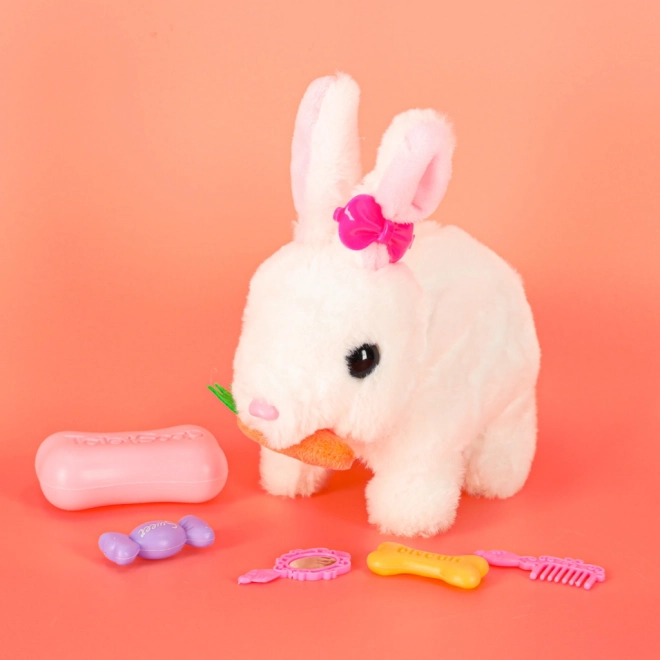 Lapin Interactif avec Carotte