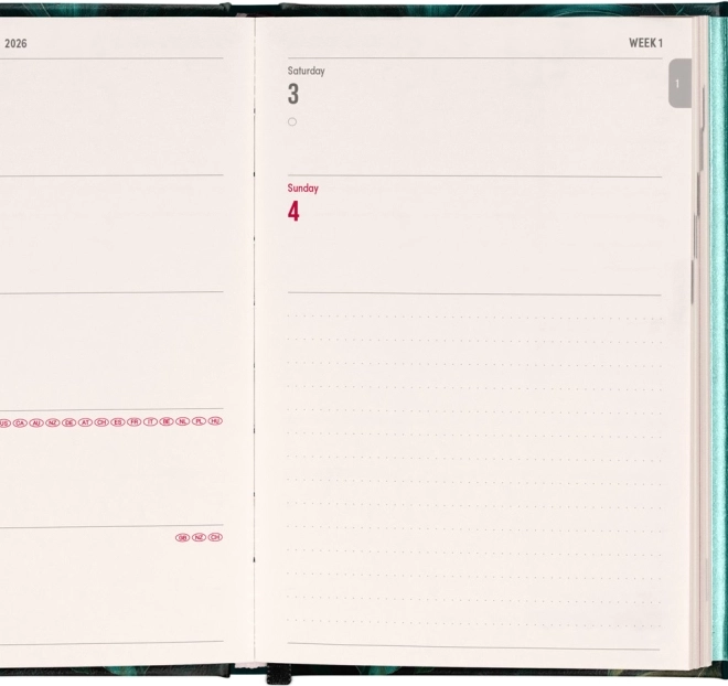 Weekly Magnetic Diary Monstera 2026, 11 x 16 cm